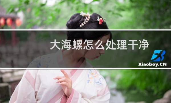 大海螺怎么处理干净 - 如何清洗海螺壳做标本