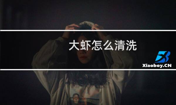 大虾怎么清洗 - 买回来的大虾怎么清洗