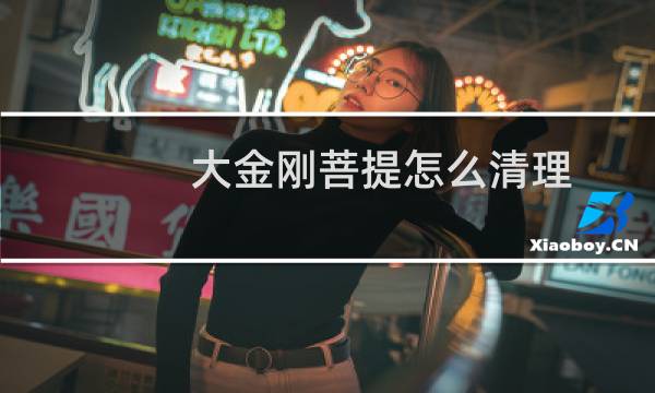 大金刚菩提怎么清理 - 小金刚菩提清理不干净