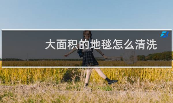 大面积的地毯怎么清洗 - 洗地毯怎么洗