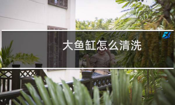 大鱼缸怎么清洗 - 鱼缸用什么清洗干净