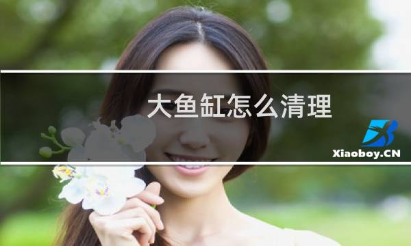 大鱼缸怎么清理 - 清理鱼缸粪便鱼前十名