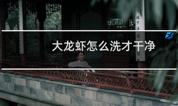 大龙虾怎么洗才干净 - 大龙虾怎么清洗
