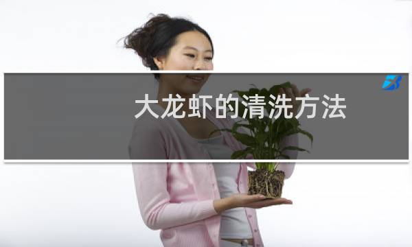 大龙虾的清洗方法 - 大龙虾的清洗方法和做法