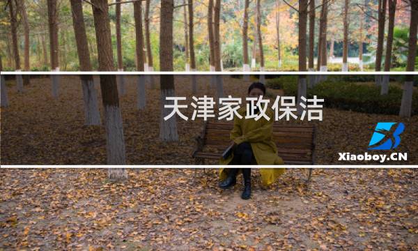天津家政保洁 - 天津家政保洁公司哪家好