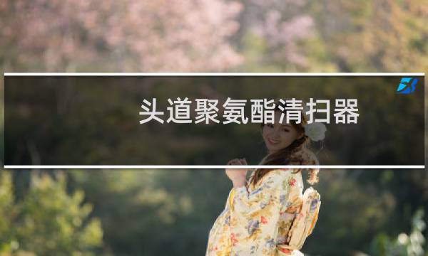 头道聚氨酯清扫器 - 聚氨酯头部清扫器