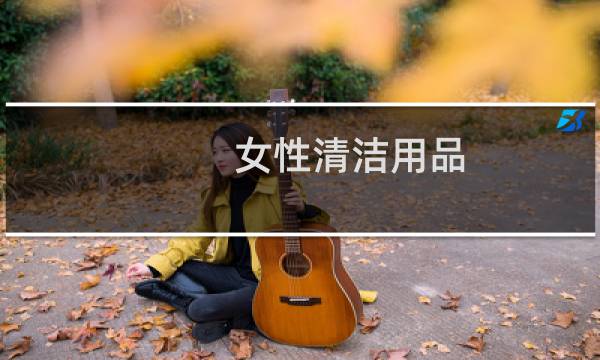 女性清洁用品 - 女性卫生用品