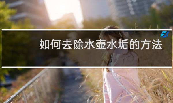 如何去除水壶水垢的方法 - 烧水壶怎样去水垢最简单方法