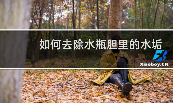 如何去除水瓶胆里的水垢 - 水瓶除水垢的方法哪种最有效