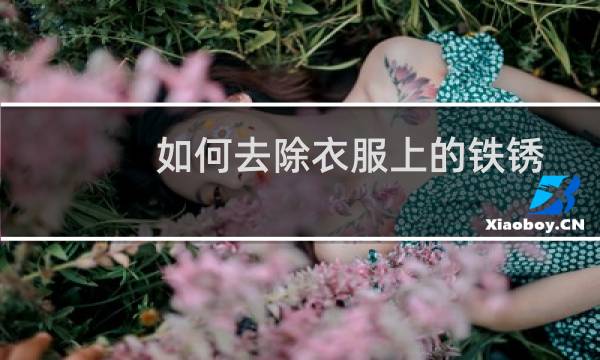 如何去除衣服上的铁锈 - 去除衣服铁锈的最佳方法如下