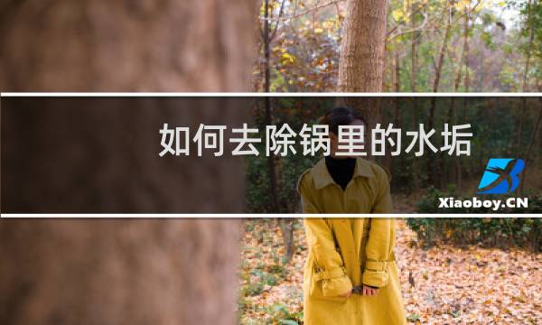 如何去除锅里的水垢 - 不锈钢锅厚水垢清除妙招