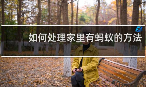 如何处理家里有蚂蚁的方法 - 灭蚂蚁的最简单方法