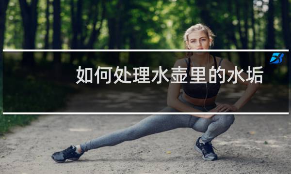 如何处理水壶里的水垢 - 的水垢怎么去除