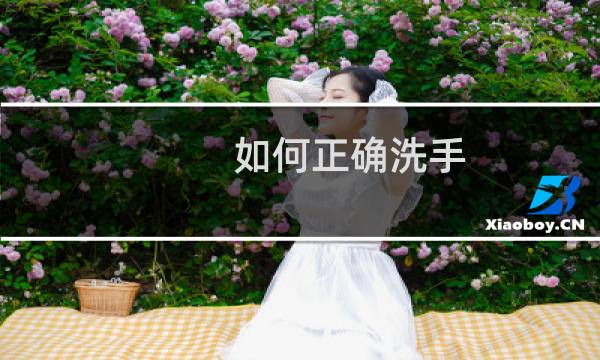 如何正确洗手 - 庙里洗手