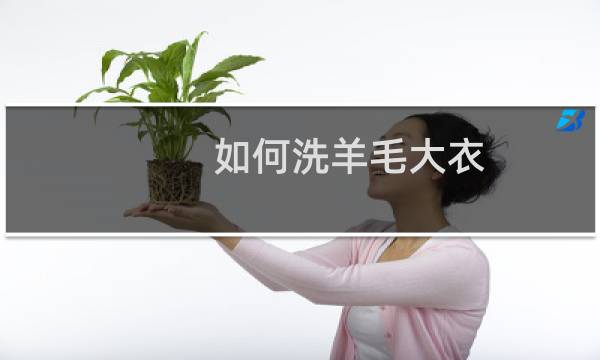如何洗羊毛大衣 - 绵羊毛大衣如何清洗