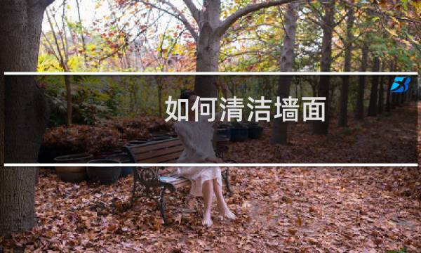 如何清洁墙面 - 墙壁清洁