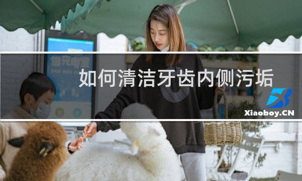 如何清洁牙齿内侧污垢 - 怎么清洁牙齿污垢小妙招
