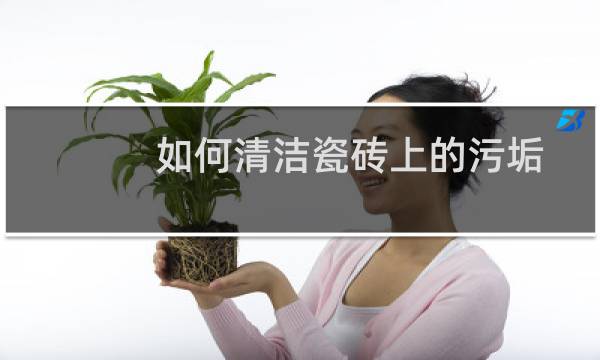 如何清洁瓷砖上的污垢 - 去除瓷砖污渍小妙招