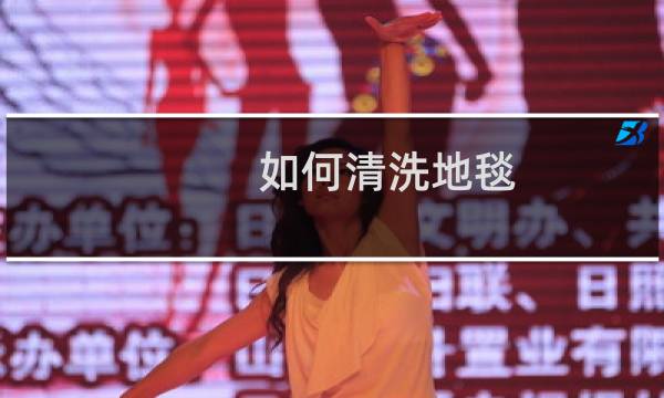 如何清洗地毯 - 自己在家怎么洗大块地毯