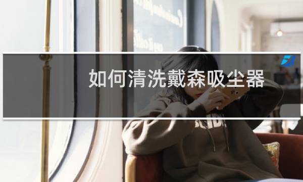 如何清洗戴森吸尘器 - 戴森吸尘器尘格尘袋如何清洗