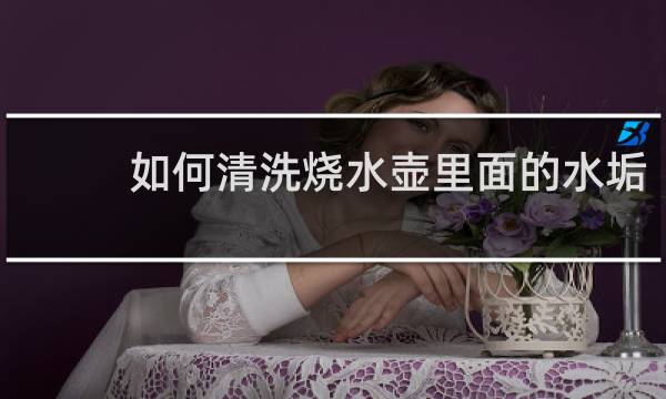 如何清洗烧水壶里面的水垢 - 烧水壶怎样去水垢最简单方法