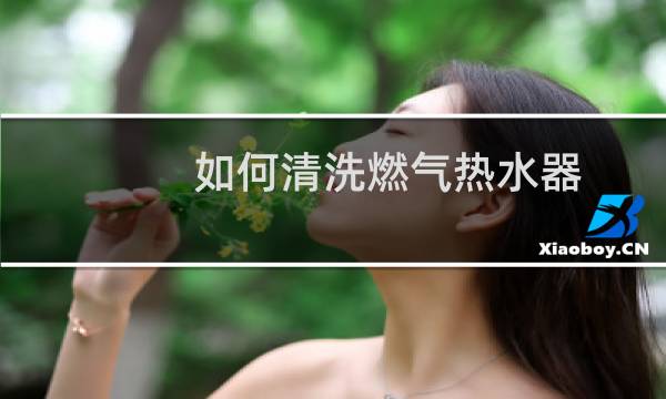 如何清洗燃气热水器 - 燃气热水器自己可以清洗吗