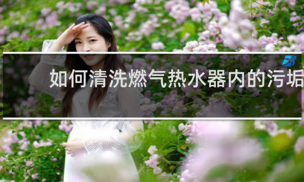 如何清洗燃气热水器内的污垢 - 燃气热水器自己能清洗