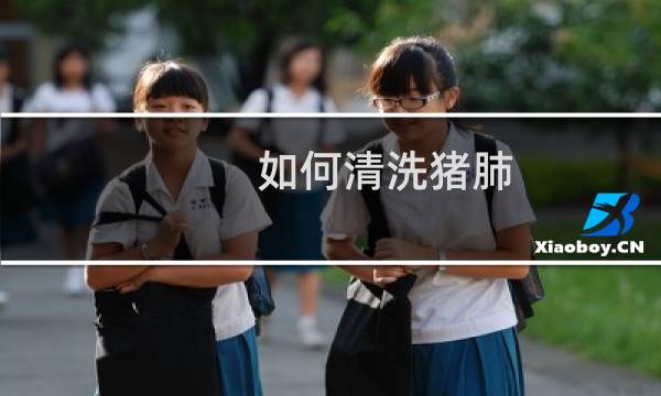 如何清洗猪肺 - 怎么洗才干净