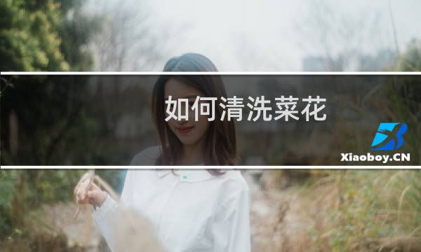 如何清洗菜花 - 如何清洗花菜里面的虫