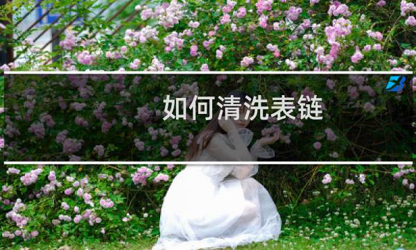 如何清洗表链 - 手表链用什么清洗