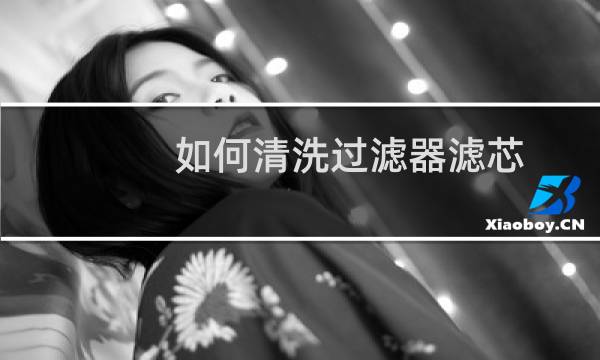 如何清洗过滤器滤芯 - 稀油站过滤器滤芯怎么清洗