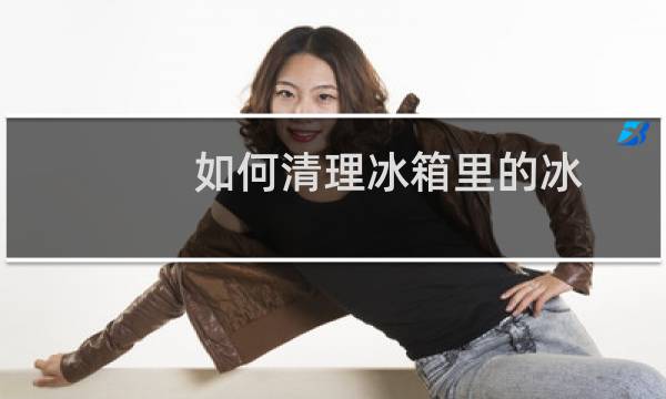 如何清理冰箱里的冰 - 怎么清理冰箱