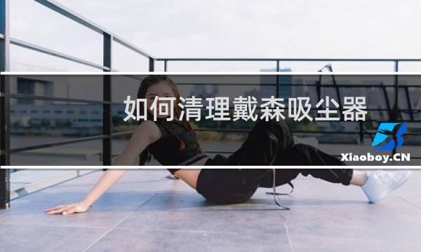 如何清理戴森吸尘器 - 戴森吸尘器如何清理垃圾盒