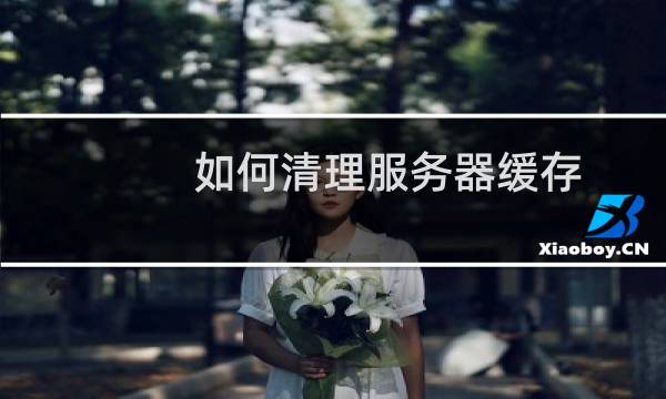 如何清理服务器缓存 - 服务器缓存在哪里删除