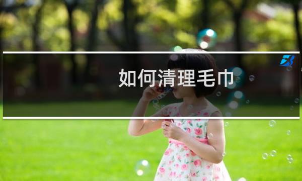 如何清理毛巾 - 洗爬子用什么洗的干净
