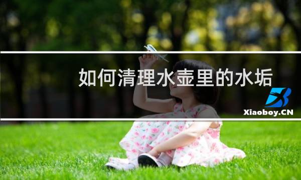 如何清理水壶里的水垢 - 烧水壶怎样去水垢最简单方法