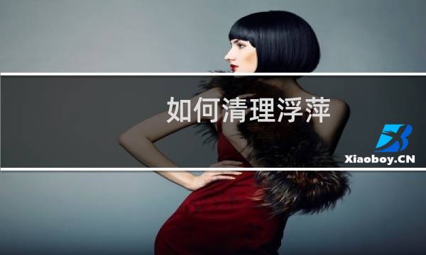如何清理浮萍 - 清理浮萍神器