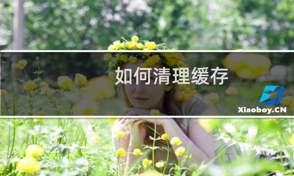 如何清理缓存 - 如何清理计算机缓存