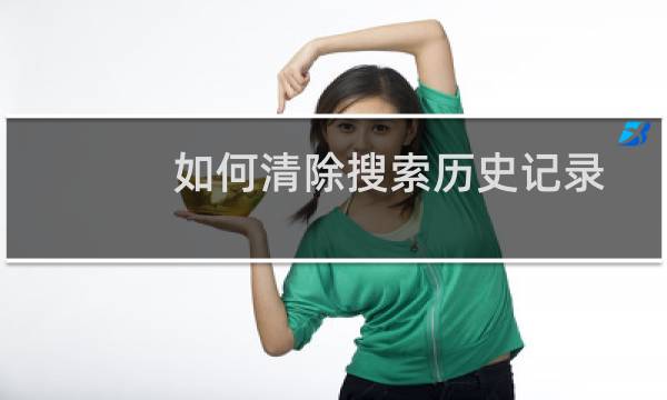 如何清除搜索历史记录 - 怎样清除百度搜索记录