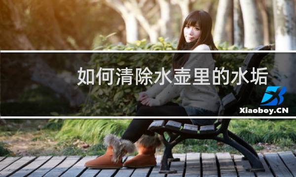 如何清除水壶里的水垢 - 水壶里的水垢怎么除掉