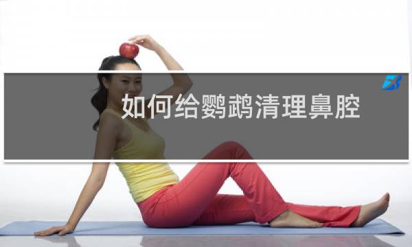 如何给鹦鹉清理鼻腔 - 鹦鹉鼻子长黄东西封鼻孔