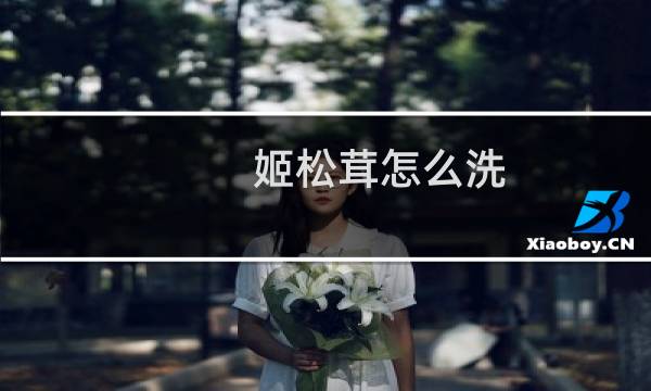 姬松茸怎么洗 - 干姬松茸怎么洗干净