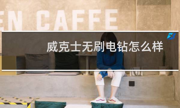 威克士无刷电钻怎么样 - 威克士we210评测