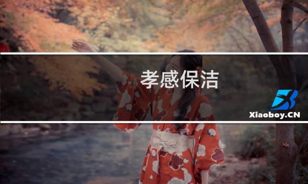 孝感保洁 - 孝感保洁公司哪家好