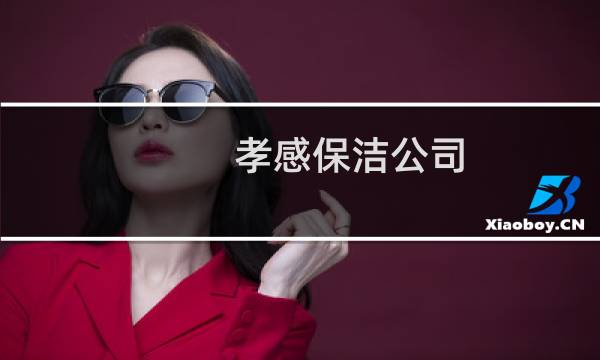孝感保洁公司 - 孝感保洁公司哪家好
