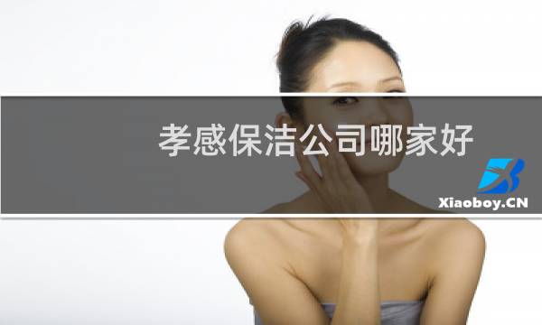 孝感保洁公司哪家好 - 孝感市有哪些保洁公司
