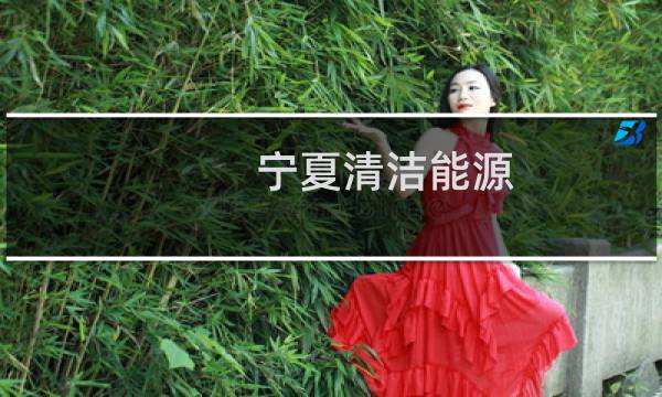 宁夏清洁能源 - 宁夏清洁能源现状