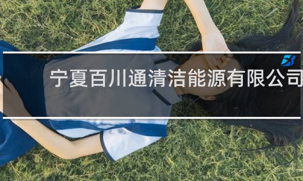 宁夏百川通清洁能源有限公司 - 宁夏百川通新能源