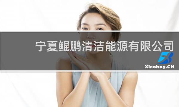 宁夏鲲鹏清洁能源有限公司 - 宁夏鲲鹏清洁能源有限公司拖欠工资