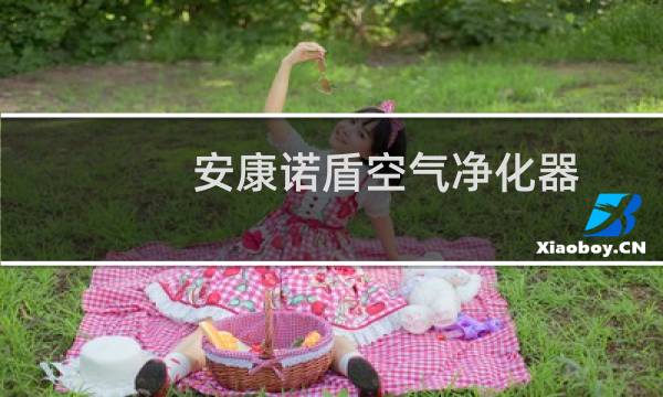 安康诺盾空气净化器 - 安康诺盾净化器的复位键在哪